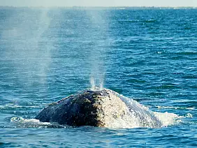 la-paz-panorama-2tm6h