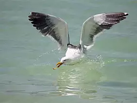 la-paz-panorama-4s6fw