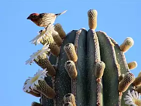 la-paz-panorama-9qjbz