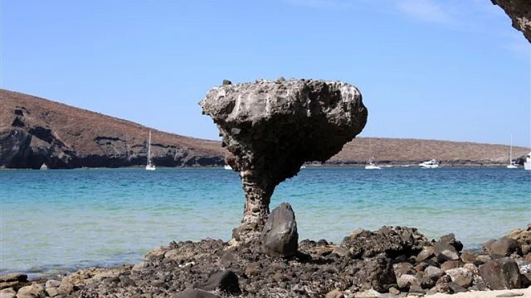 di nuovo in messico, 20 anni dopo