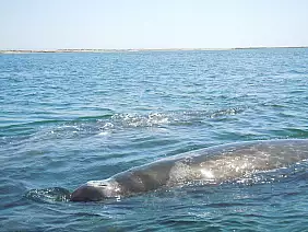 la-paz-panorama-j7mzp