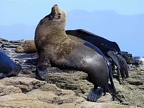 la-paz-panorama-mc1un