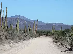 la-paz-panorama-s513d