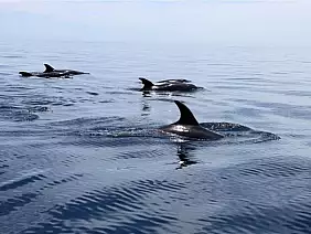 la-paz-panorama-sd6yb