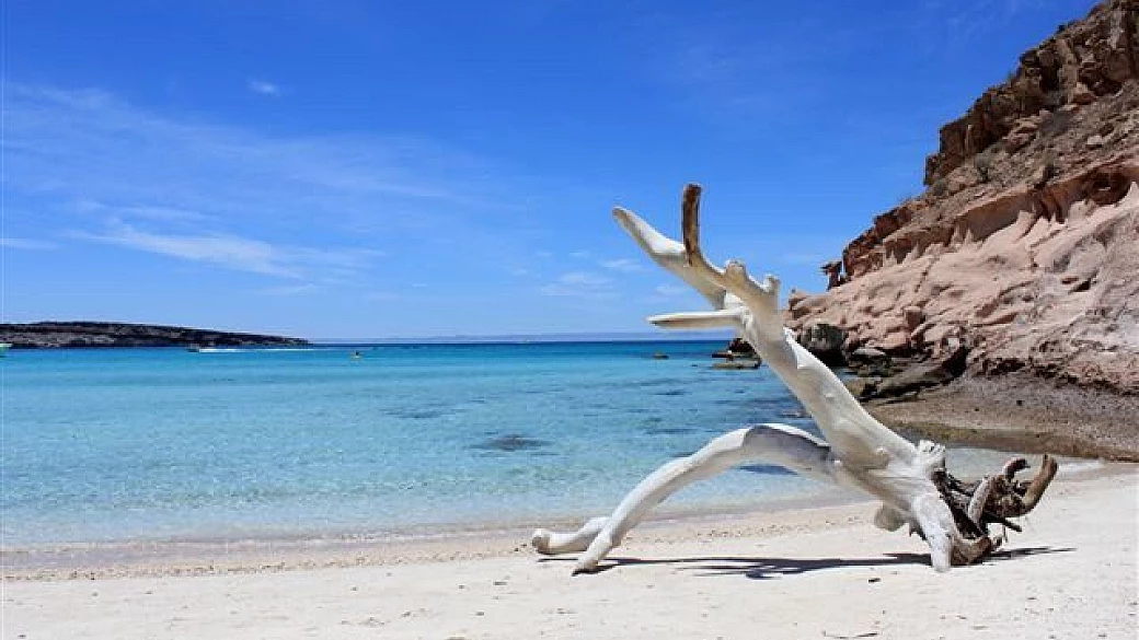 di nuovo in messico di barranca del cobre & baja california