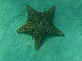 la-romana-region-wku5b