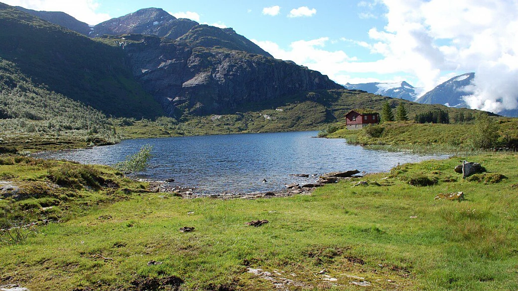 norvegia: oslo-bergen e poi via tra fiordi, ghiacciai, balene e lofoten