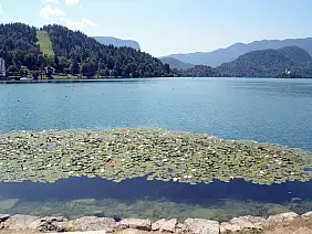 lago-di-bled-lago-46jwn