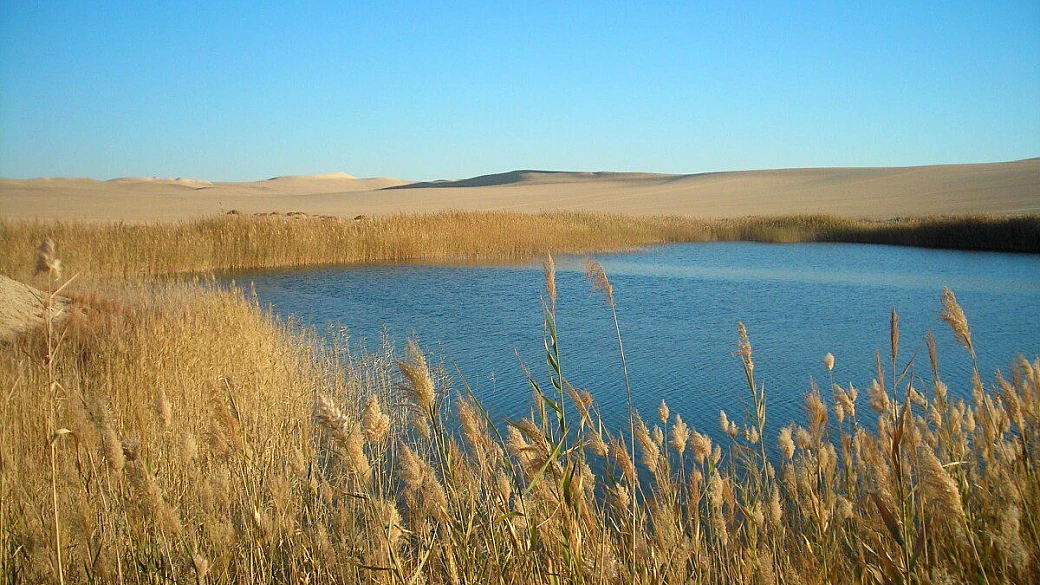 tra i tesori del cairo e le gemme di siwa