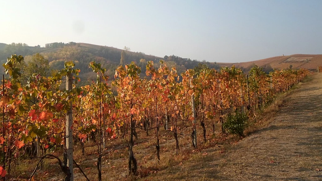 tour tra langhe e roero