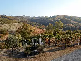 langhe-nvzem