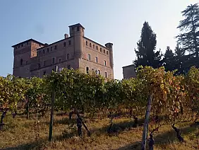 langhe-pg52t