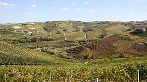 fuga d'autunno nelle langhe