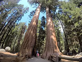 las-vegas-themepark-mej4z