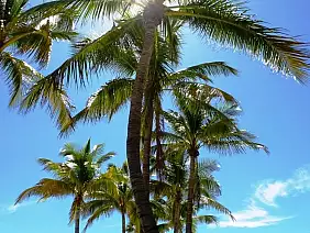 las-vegas-themepark-pujfs