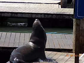 las-vegas-themepark-yezpa