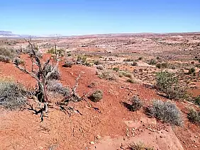 las-vegas-themepark-yxbe4