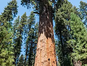 las-vegas-themepark-zp36j