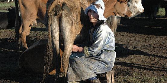 Mongolia: il volo dell'aquila
