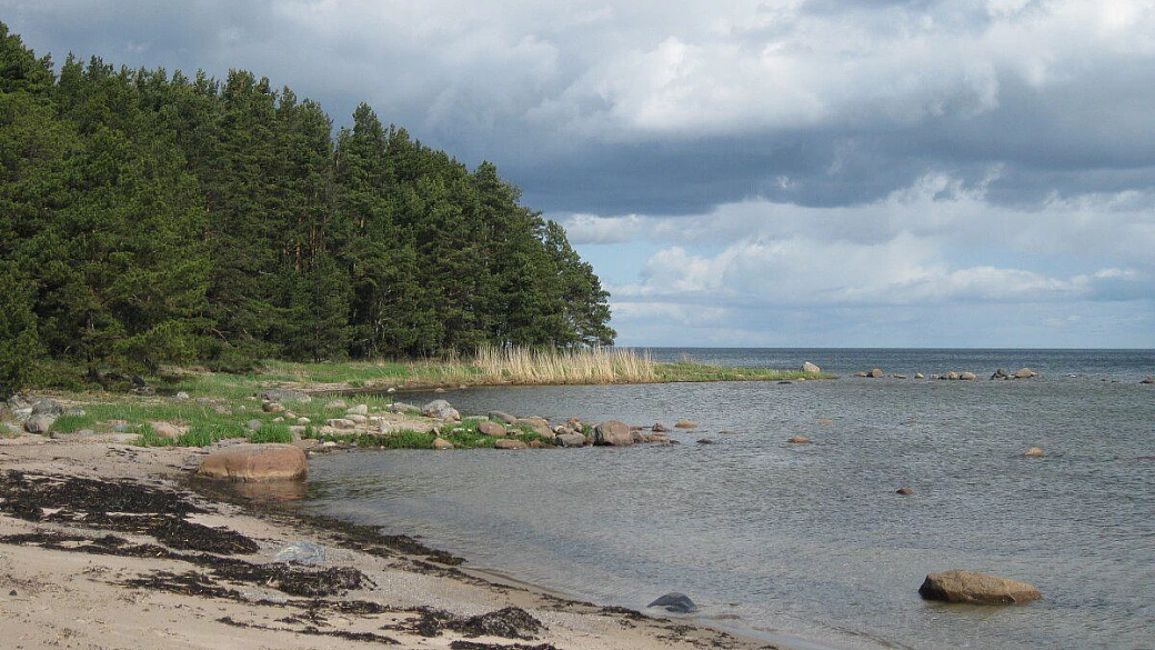 lettonia, estonia, san pietroburgo... quattro amici over 60