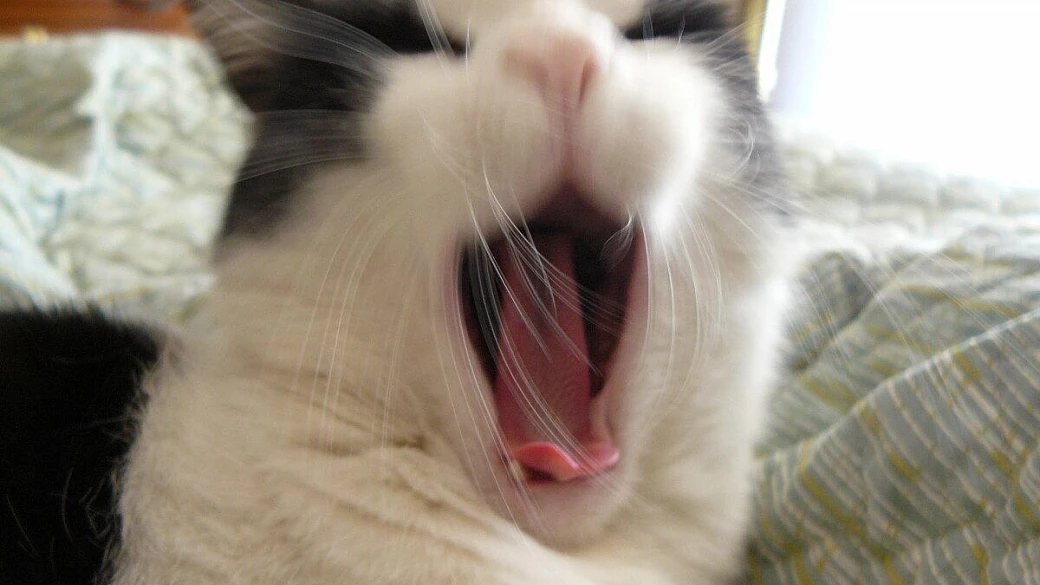 viaggio sui generis in sicilia