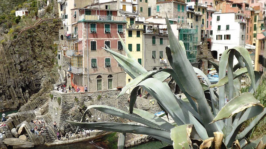 cinque terre, uno spettacolo sotto la pioggia