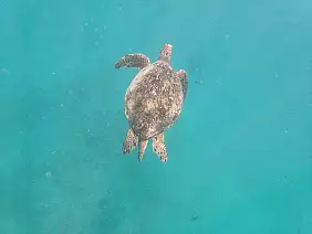 los-angeles-shopping-bnq5v