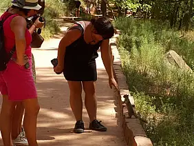 los-angeles-shopping-ga634