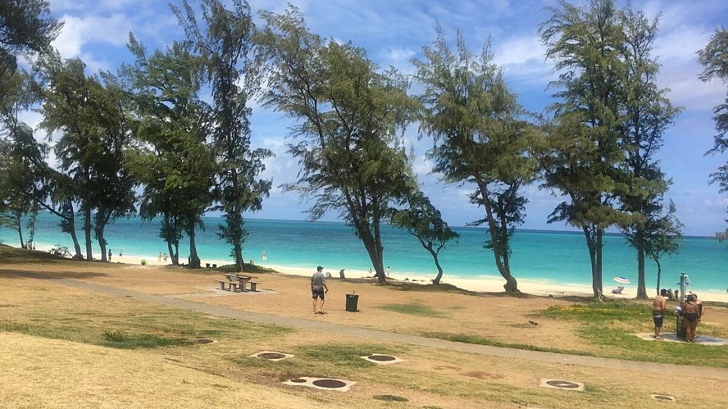 viaggio di nozze tra california e hawaii