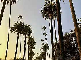 los-angeles-shopping-u92kj