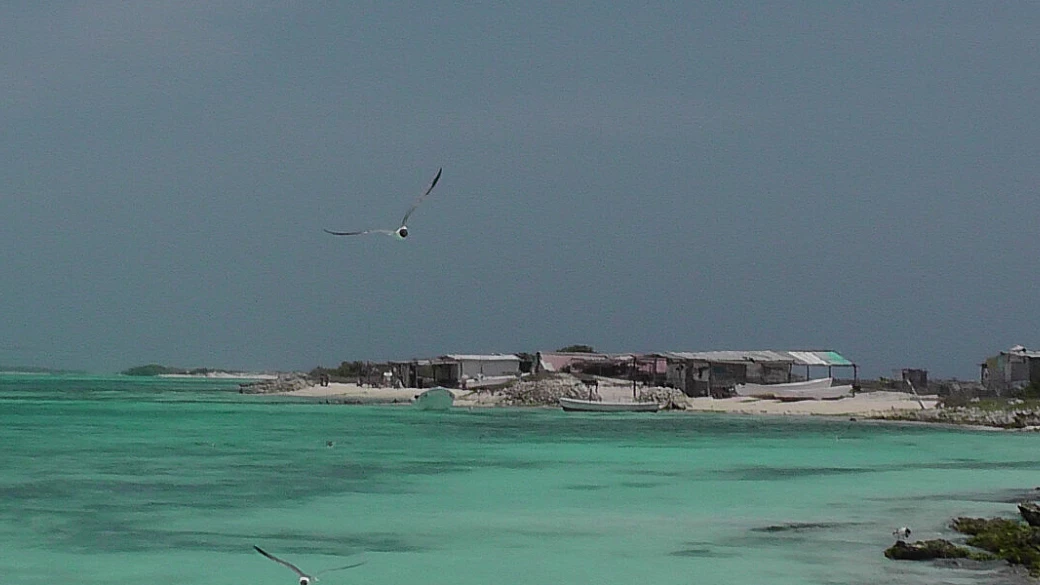 los roques d’amare
