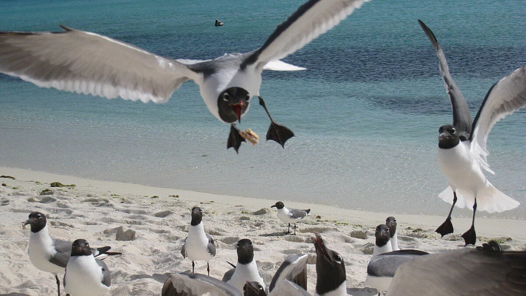 venezuela tra terra e mare