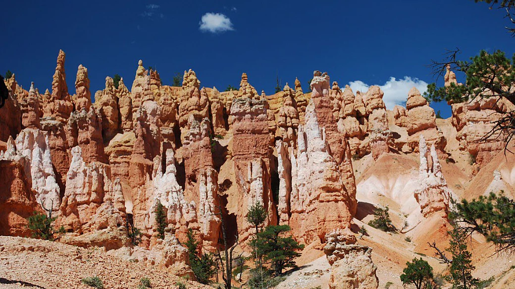 4500 km nel west e poi new york