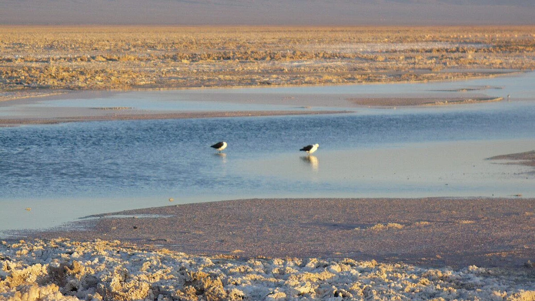 un viaggio del cuore