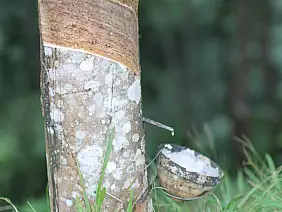 luang-prabang-region-mh552