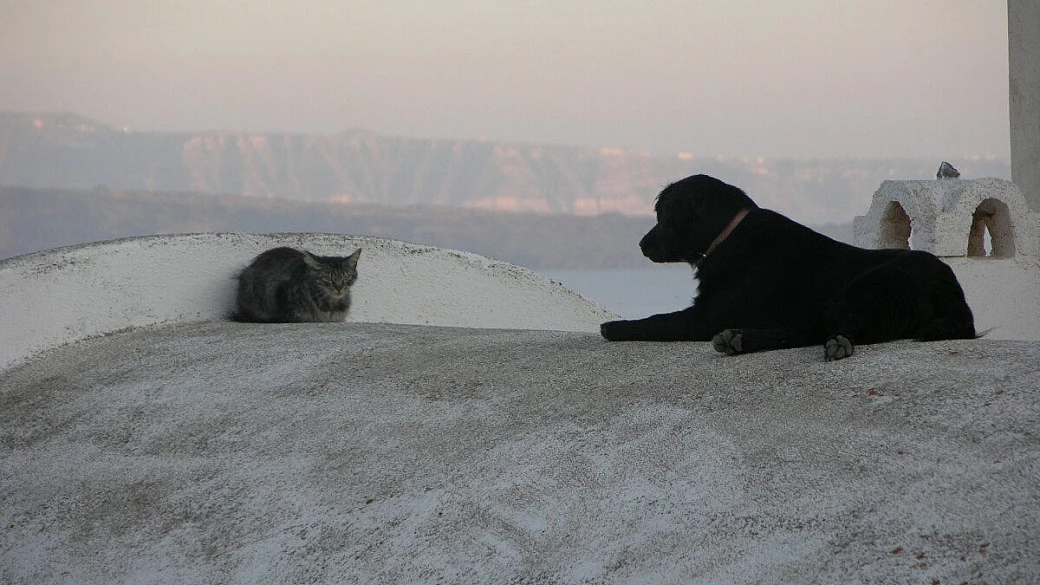 karpathos: una settimana in un sogno