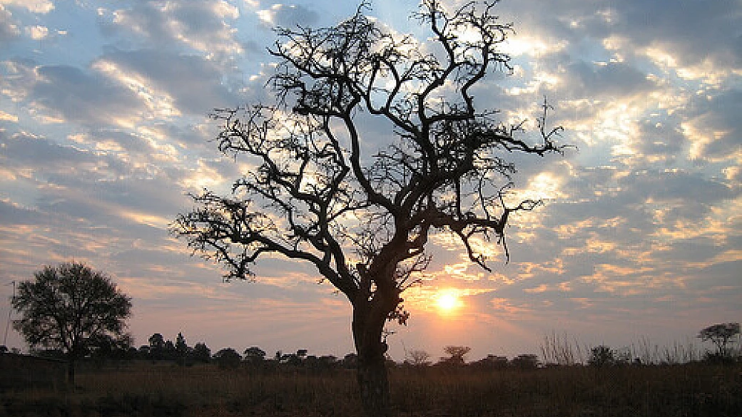 moto in vendita a lusaka
