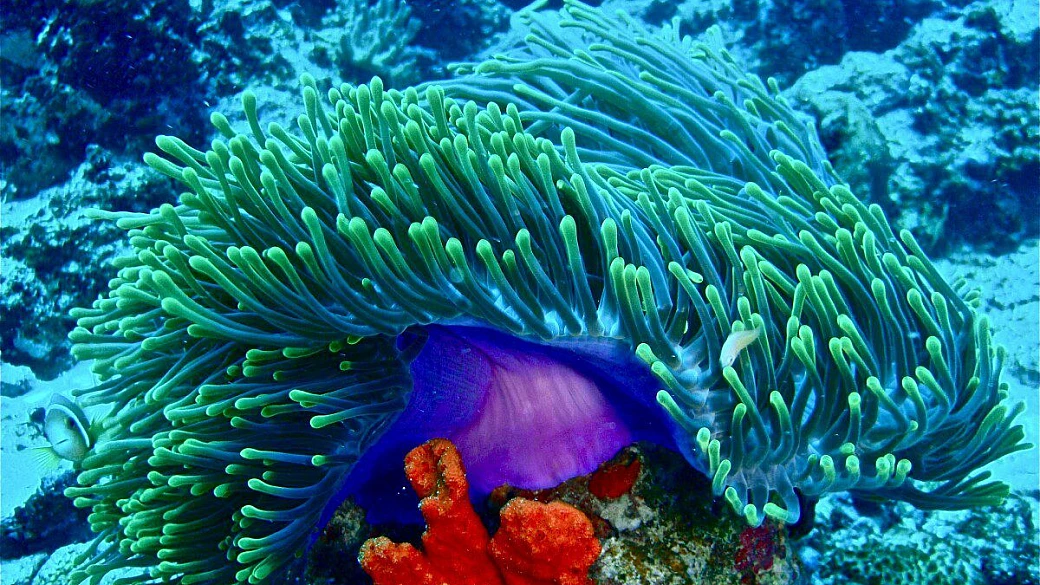 un'ottima settimana al dhonveli beach