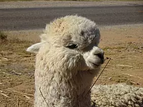 machu-picchu-monumento-1c6xg