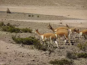 machu-picchu-monumento-74mkt