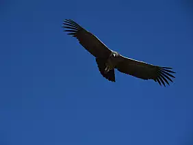 machu-picchu-monumento-a5ypq