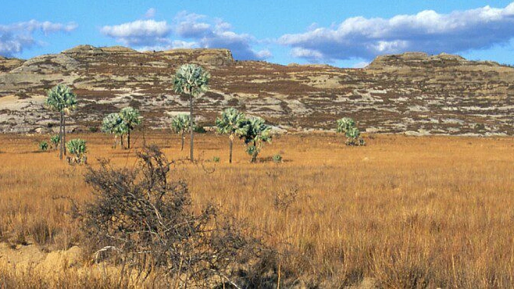 natura e avventura in madagascar