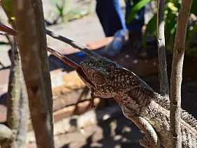 madagascar-natura-3usgs