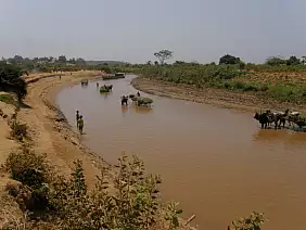 madagascar-natura-424vk