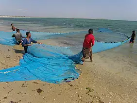 madagascar-natura-4rkpp