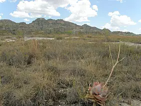 madagascar-natura-6veyp