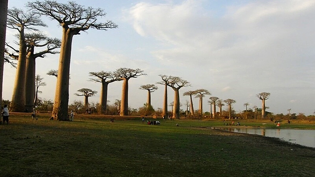 madagascar, viaggio nell’isola del passato
