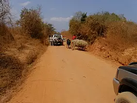 madagascar-natura-8r8ee