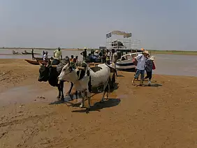 madagascar-natura-98fxp