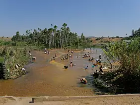 madagascar-natura-edwsc